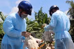 Bộ Y tế yêu cầu tăng cường công tác phòng chống dịch tại các địa phương