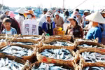 Thủ tướng duyệt chi hỗ trợ 4 tỉnh miền Trung