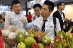 Trung Quốc ngừng nhập khẩu hàng Việt Nam, đối phó thế nào?