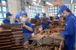 Hiệp định EVFTA mang đến cơ hội cho cả Việt Nam và EU