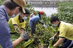 Lập hành lang bảo vệ nguồn nước, phòng nguy cơ ô nhiễm 