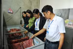 Ban hành kế hoạch triển khai “Tháng hành động vì an toàn thực phẩm” năm 2020