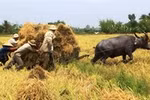 Vì sao chúng ta vẫn cứ nghèo?
