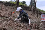 Xử lý vi phạm mua bán, cưa cắt, sử dụng trái phép bom mìn
