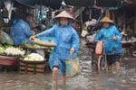 Chuyên gia cảnh báo thận trọng về an toàn thực phẩm mùa mưa lũ