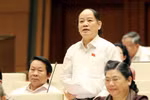 Tham nhũng lớn nhằm "hy sinh đời bố củng cố đời con"