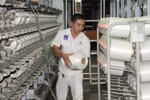 Nhà máy xơ sợi Đình Vũ tăng công suất sản xuất sợi DTY lên 900 tấn/tháng