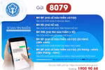 Người dân, doanh nghiệp dễ dàng tra cứu hồ sơ bảo hiểm