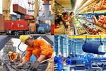 Ngay trong ngày đầu năm 2018, Chính phủ yêu cầu xử lý nghiêm các vụ án kinh tế