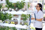 Phát triển doanh nghiệp công nghiệp sinh học