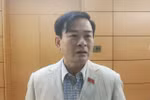 "Nhà nước đang nuôi báo cô nhiều công chức, viên chức"