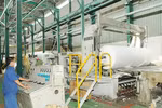 Phương án cổ phần hóa Tổng công ty Giấy Việt Nam 