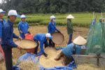 Nghị lực chàng sinh viên nghèo “5 tốt”