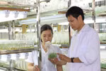 Giảng viên phải giảm thu nhập khi trường đại học tự chủ tài chính
