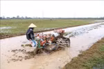 Kéo dài thời gian hỗ trợ phí bảo hiểm nông nghiệp đến hết năm 2021