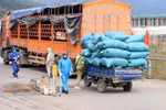 Giải quyết kịp thời các vấn đề liên quan đến vận tải, lưu thông hàng hóa