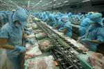Phấn đấu giá trị xuất khẩu nông lâm thủy sản đạt 62 tỷ USD vào năm 2030