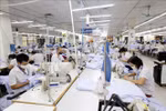 Quyết tâm khôi phục, phát triển hoạt động sản xuất, bảo đảm an sinh xã hội