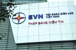 Phát triển EVN thành Tập đoàn kinh tế mạnh