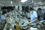 Hỗ trợ người lao động và người sử dụng lao động gặp khó khăn do đại dịch COVID