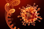 Yêu cầu Bộ Y tế bảo đảm cấp đủ thuốc kháng virus (túi thuốc C) cho địa phương
