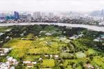 Nghiên cứu ý kiến của Giáo sư Đặng Hùng Võ về xử lý dự án "treo"