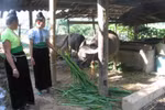 Thủ tướng yêu cầu tiếp thu vấn đề xây dựng chính sách dân tộc
