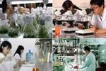 Phát triển nguồn tin khoa học và công nghệ