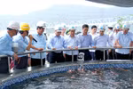 Thủ tướng thị sát hoạt động của Formosa Hà Tĩnh