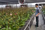 Xác định rõ tiêu chí chọn dự án khoa học công nghệ cho xây dựng nông thôn mới