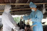 Bãi bỏ một số văn bản trong lĩnh vực y tế
