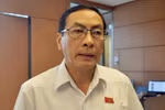 Vụ ông Tất Thành Cang là vấn đề nóng của Thành phố Hồ Chí Minh, phải sớm làm rõ