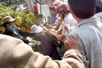 Video: Chánh thanh tra Sở Y tế dùng cuốc bổ đầu một phụ nữ