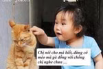 'Phì cười' với bộ ảnh siêu hài thế giới động vật