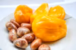 Hạt mít có tác dụng ngăn ngừa ung thư