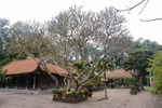 Tư liệu quý chỉ có ở chùa Vĩnh Nghiêm