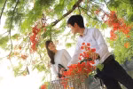 Thương mái trường xưa, bài thơ chia tay tuổi học trò