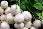 Củ cải có tác dụng ngăn ngừa ung thư
