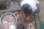 Xem bộ đội săn cá bò ở Trường Sa