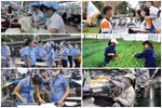 Thủ tướng đôn đốc triển khai Chương trình phục hồi và phát triển kinh tế-xã hội