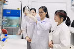 Chủ tịch HĐGS ngành Toán: Tỷ lệ giảng viên GS, PGS thấp là điều bình thường