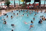 Những ông vua, bà chúa tí hon