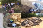 Có một cuộc thanh tra Formosa: 8 người, nửa ngày, 3 trang giấy