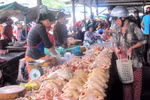 Tết Nguyên đán, thịt gà có thể tăng giá đến 50%