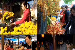 Sau Tết, từ thịt cá đến bát bún riêu... đội giá gấp đôi