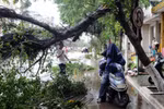 Bão Rammasun quét qua miền Nam Trung Quốc, 14 người thiệt mạng
