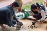 Quy trình làm sạch "tiền bẩn" 