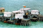  Học giả Philippines bác tin Trung Quốc xây dựng công sự ở Scarborough