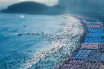 Hàn Quốc: hơn 100 người bị sóng cuốn trôi khi tắm biển tại Busan