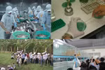 Sinh viên ngành Nuôi trồng thủy sản cần thành thạo tiếng Anh nếu muốn tiến xa